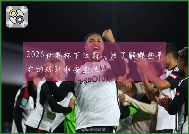 2026世界杯下注前，该了解哪些平台的规则和安全性？