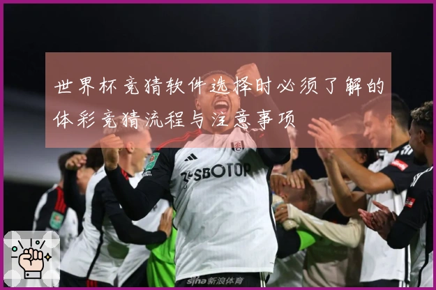 世界杯竞猜软件选择时必须了解的体彩竞猜流程与注意事项