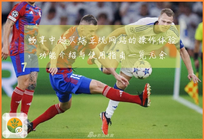 畅享中超买球正规网站的操作体验，功能介绍与使用指南一览无余