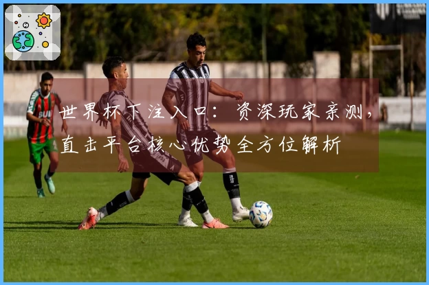 世界杯下注入口：资深玩家亲测，直击平台核心优势全方位解析