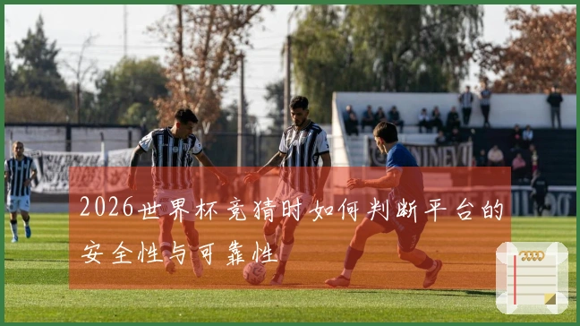 2026世界杯竞猜时如何判断平台的安全性与可靠性
