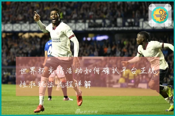 世界杯竞猜活动如何确认平台正规性和玩法流程详解