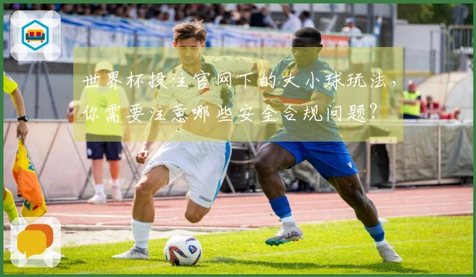 世界杯投注官网下的大小球玩法，你需要注意哪些安全合规问题？